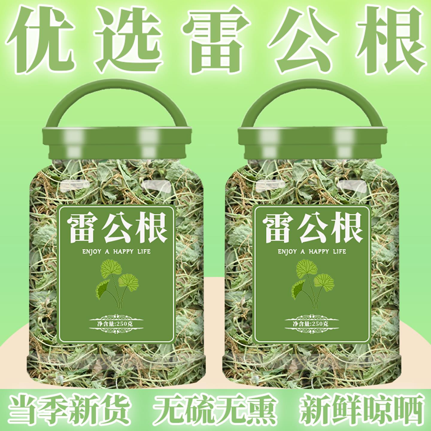 正品天然野生雷公根积雪草