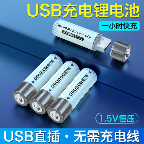 德力普5号充电锂电池1.2小时快充