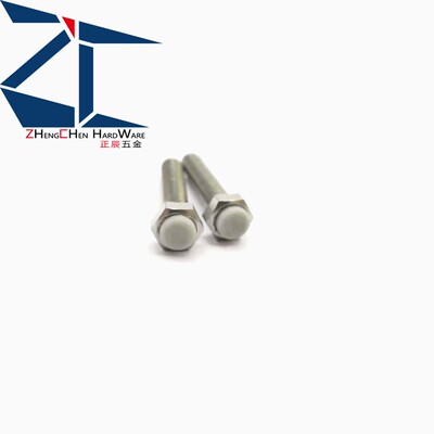 ZC不锈钢外六角TDB86止动螺丝