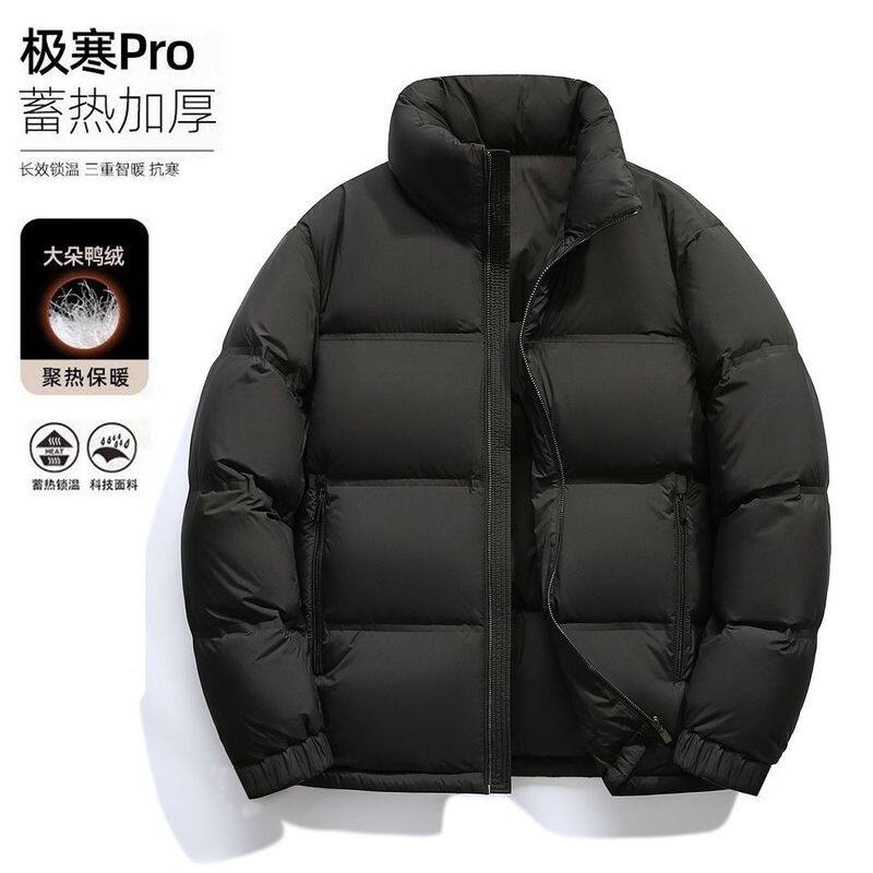 2025冬季新国标男士白鸭绒加厚休闲百搭保暖净版羽绒服立领外套男