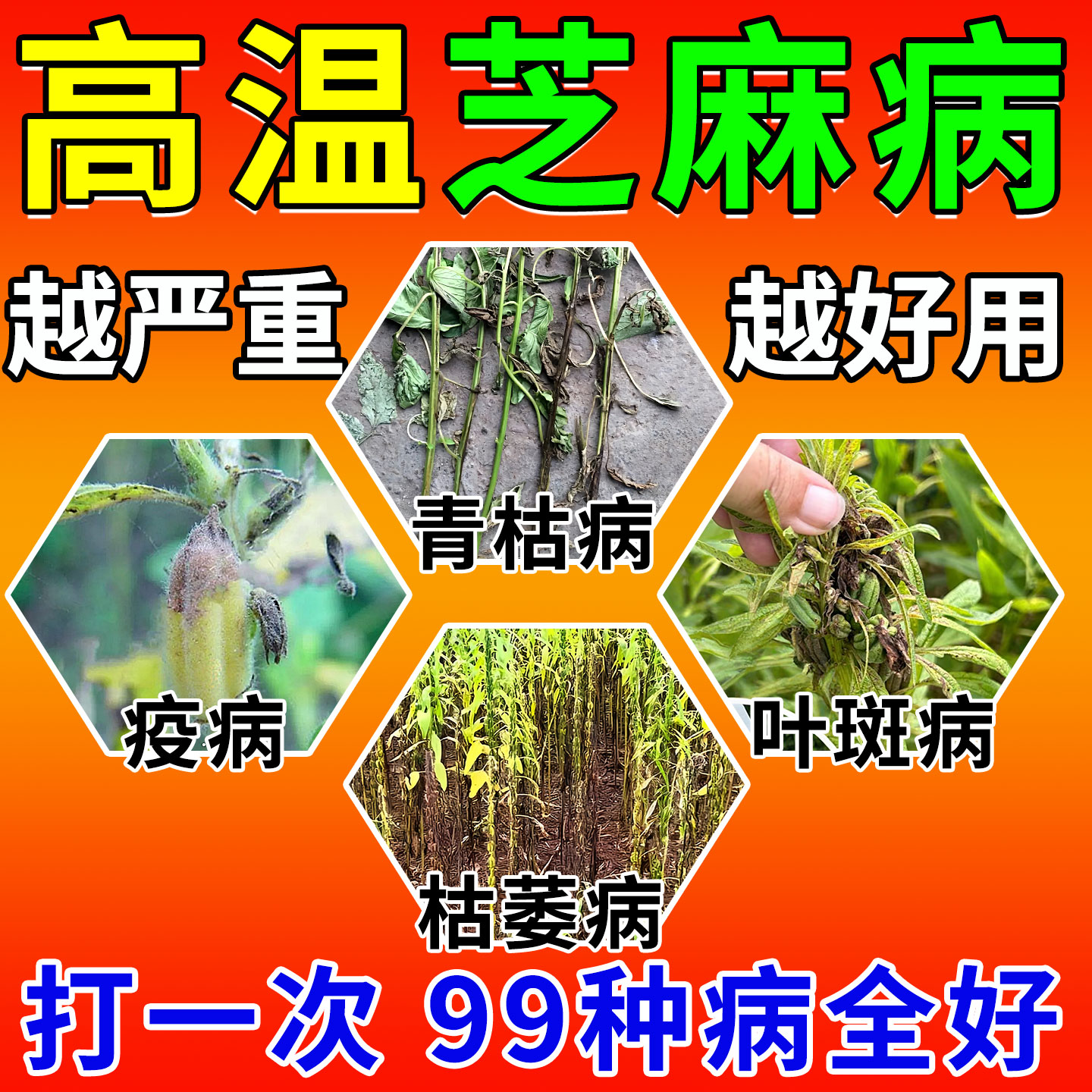 芝麻病害一次全管高效杀菌