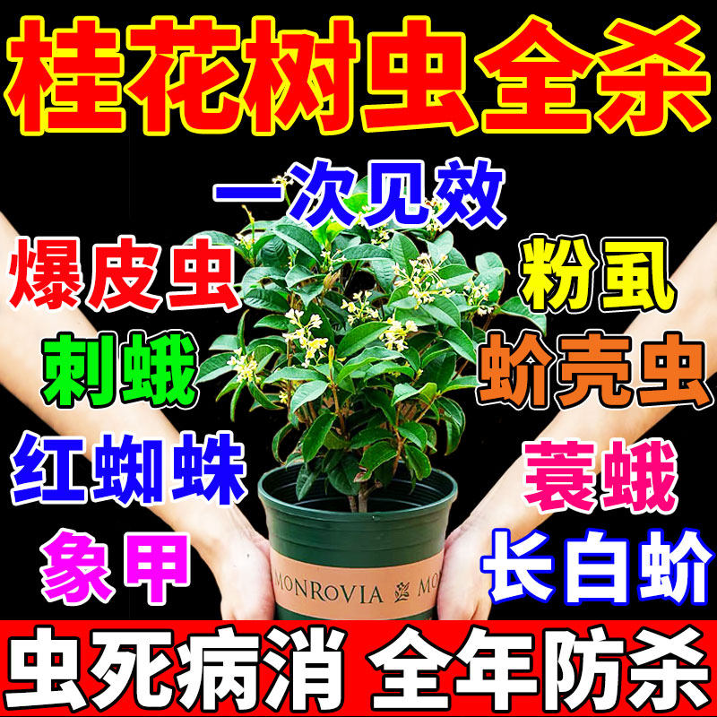 桂花树杀虫剂养花除虫喷雾灭白粉虱蚧壳虫吉丁虫专用药肥花卉植物
