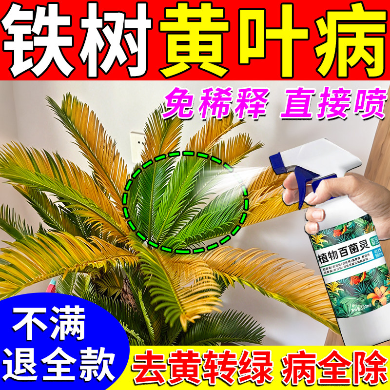 铁树专用肥料叶子发黄枯萎烂根枯枝落叶专用杀菌剂生根壮苗营养液