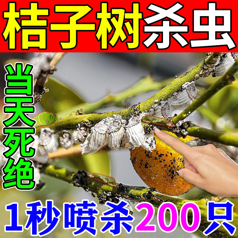 桔子树杀虫药橘子柑桔果树专用蚜虫木虱一滴净果园室内盆栽杀虫剂