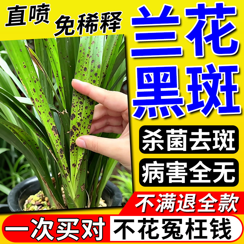 兰花黑斑炭疽专用杀菌营养液剂图片