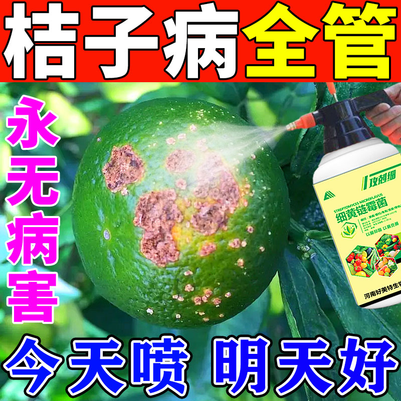 【病害一遍净】桔子树专用药