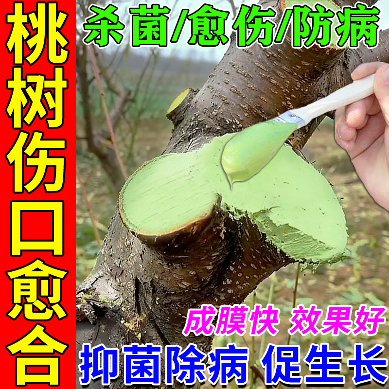 桃树伤口愈合剂果树修剪嫁接枝条修复伤口促活专用植物愈合涂抹膏,鲜花速递/花卉仿真/绿植园艺,家庭园艺肥料,淘宝优惠券,粉丝福利购,淘宝优惠卷
