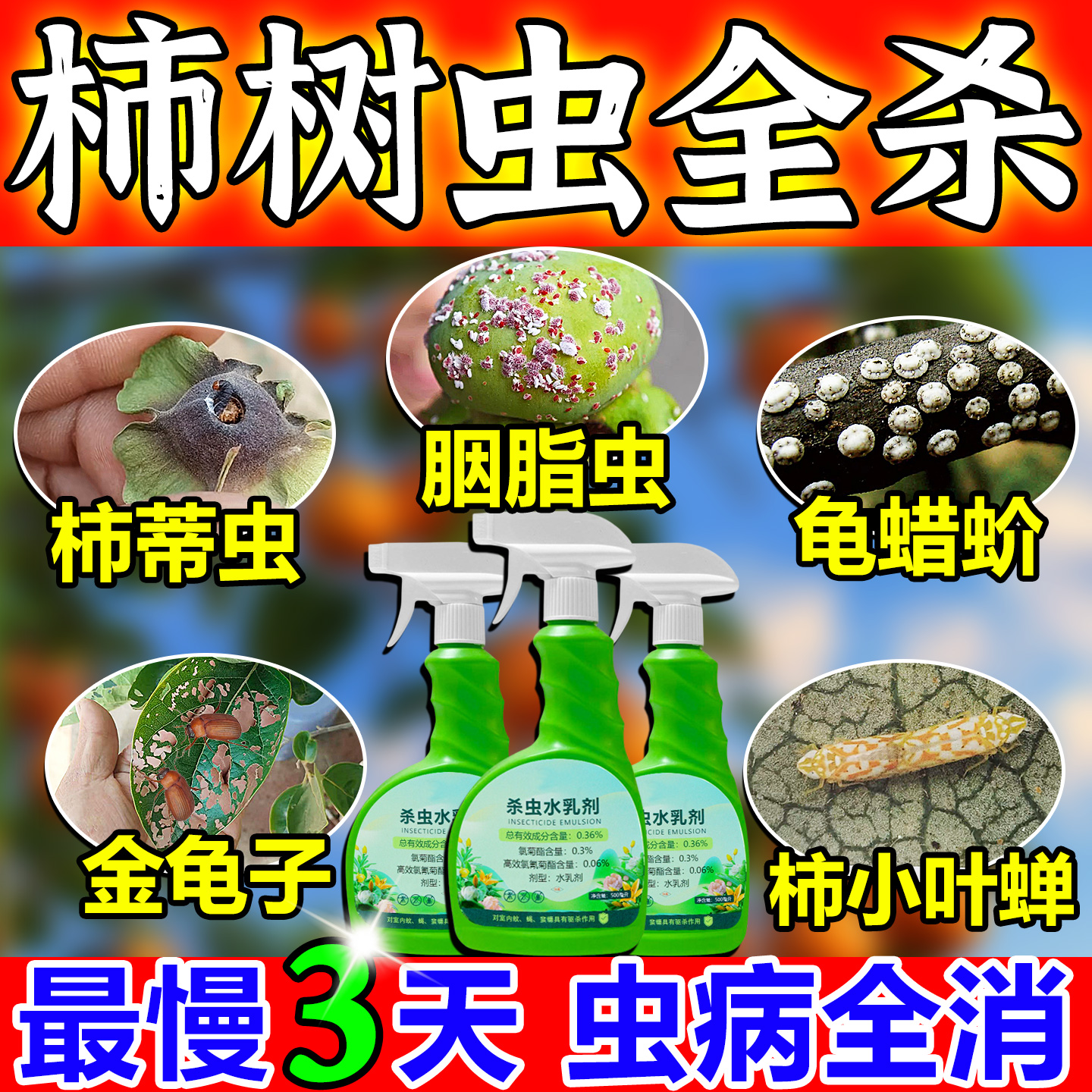 柿子树病虫清一次全灭杀