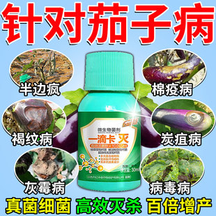 茄子黄萎病专用药菌清黄叶病毒枯萎白粉炭疽灵杀菌剂黑又亮叶面肥