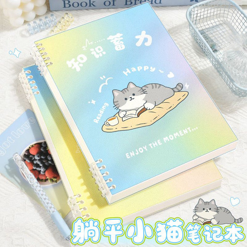 高颜值活页笔记本A5便携记事本