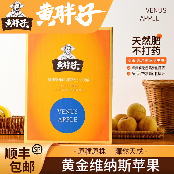 黄金维纳斯苹果 脆甜多汁全甜无酸 顺丰包邮