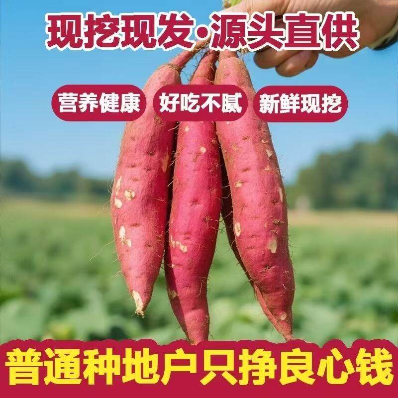 正宗西瓜红蜜薯糖心新鲜番薯