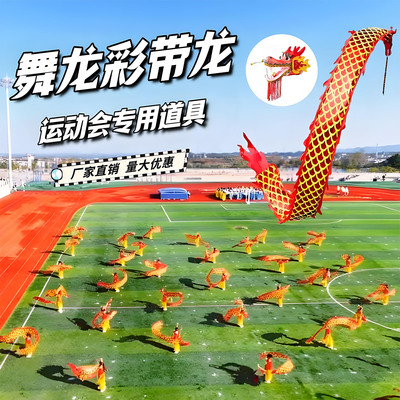 龙头舞龙彩带体育健身用品手甩龙