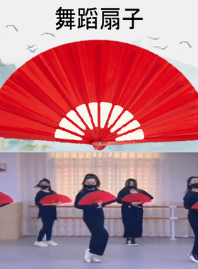 雪龙吟扇子舞蹈扇中国风表演幼儿园儿童双面红色金色八寸太极练功