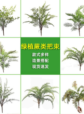 仿真波斯厥叶蕨类植物假花草绿色叶子婚庆软装插花配材背景墙装饰