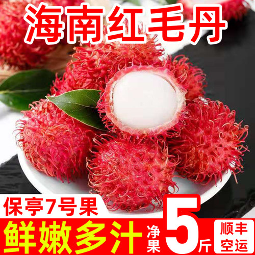 海南保亭红毛丹号果新鲜荔枝当季