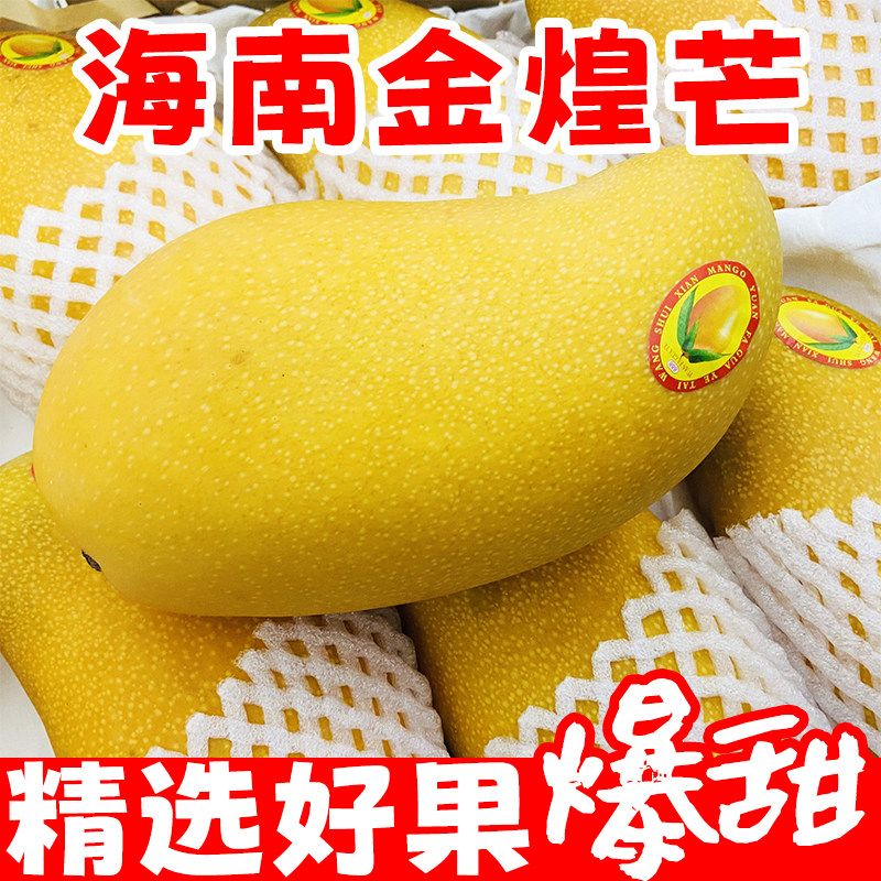 海南特产金煌芒三亚芒果当季新鲜水果台芒特大金黄水仙芒包邮礼盒