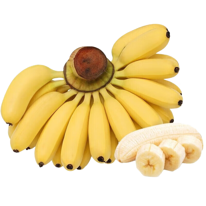 香蕉海南芭蕉新鲜小米蕉