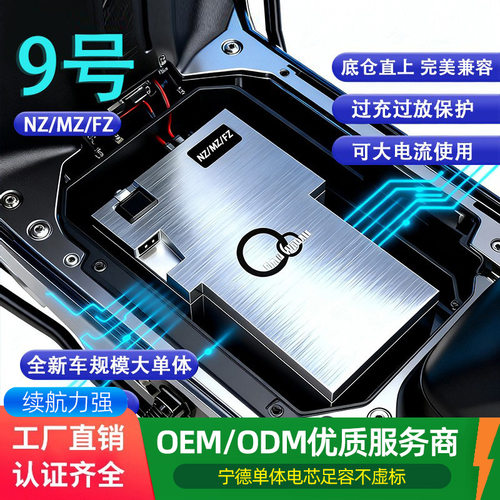 宁德60v72v九号电动车锂电池nzmix电池 mzmix fzmix F30C直上FMIX