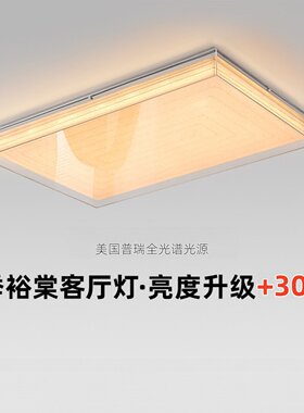 包豪斯中古风客厅设计师吸顶灯