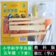 五年级下册教科版 小学科学实验材料袋教学演示器材教具学具浙江用