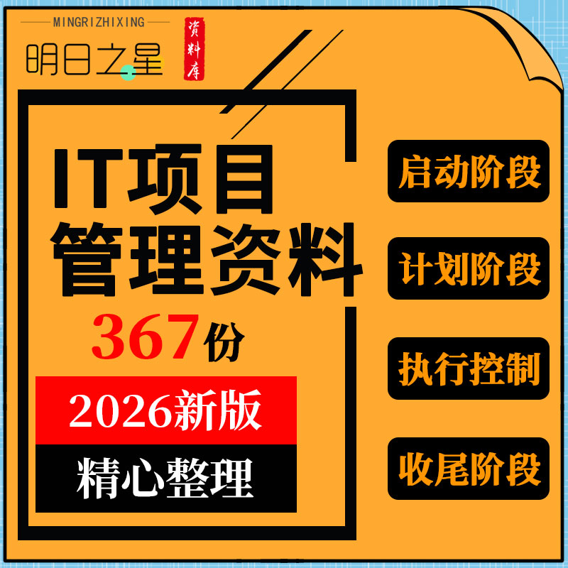 网络公司IT项目启动计划评估沟通需求分析费用验收表格投标书模板