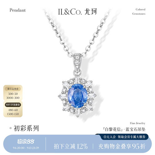 精致太阳花，魅力开放