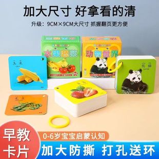 撕不烂早教卡片宝宝玩具儿童学习看图动物卡启蒙认知书益智识字卡