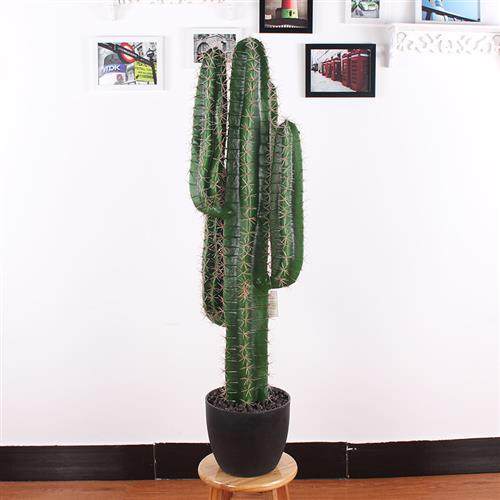 仿真仙人掌仙人球热带仙人柱绿植盆景室内装饰摆设盆栽厂家直销