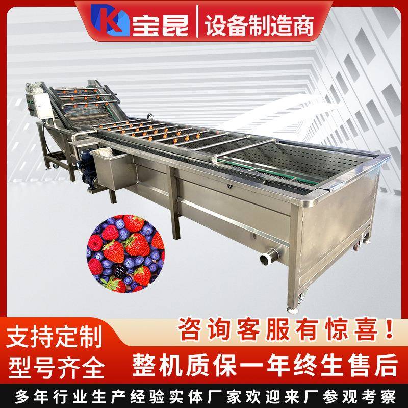 全自动枇杷果洗果机酸菜海产品清洗脱盐设备商用高压喷淋洗菜机