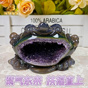 灵蟾晶舍｜紫气东来扶摇直上｜稀有天然蓝绿玛瑙紫水晶金蟾摆件36