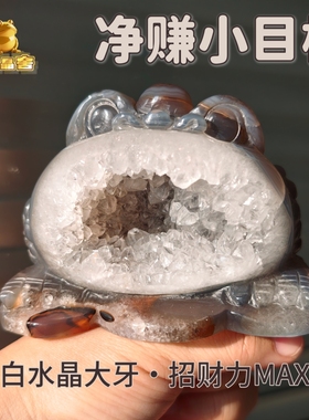 灵蟾晶舍｜净赚小目标｜天然玛瑙水晶金蟾摆件招财聚财消磁补能25