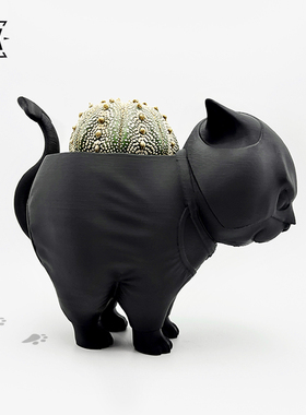 黑猫多肉花盆布纹仙人球潮流植物创意可爱小花盆3d打印透气块根盆