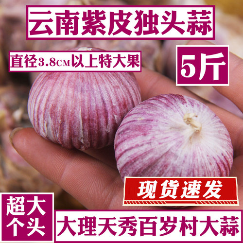 云南紫皮独头蒜干蒜大独蒜