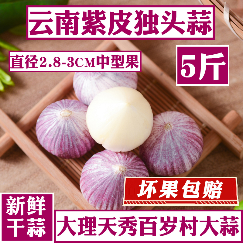 云南紫皮鲜蒜头独蒜中果