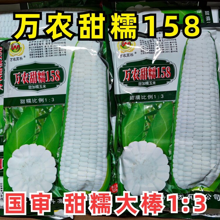万农甜糯158白糯玉米种子甜加糯鲜食粘玉米种籽薄皮矮杆春秋高产