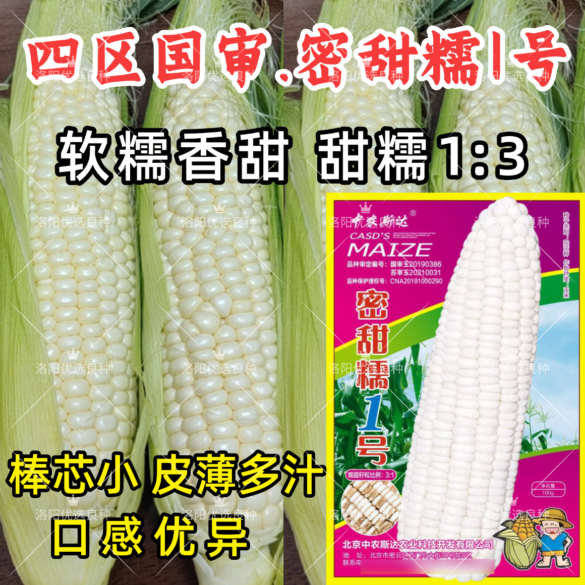 密甜糯1号甜糯玉米种子国审软糯香甜皮薄芯小白粘糯玉米种子籽孑