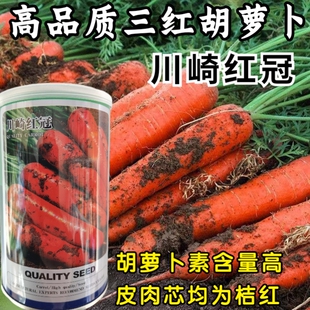 川崎红冠胡萝卜种子三红七寸高产红萝卜秋季蔬菜水果胡萝卜种籽孑