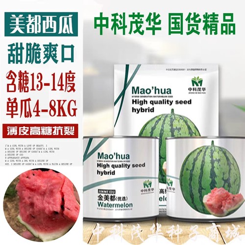 红瓤西瓜种子金美都西瓜皮薄耐裂