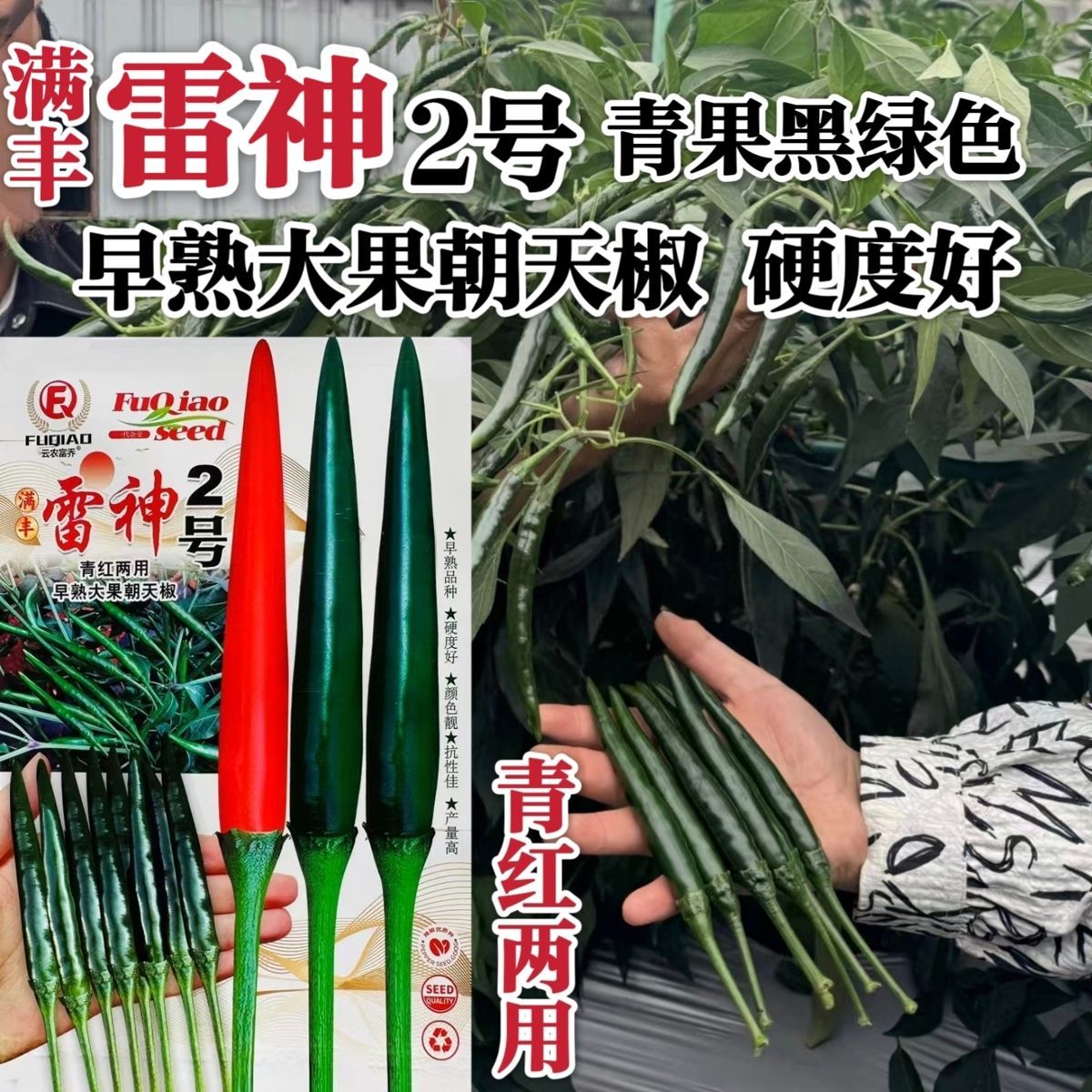 满丰雷神2号朝天椒种子大果青红两用黑绿色辣椒种早熟泰国朝天椒