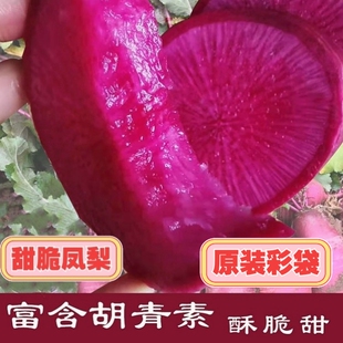 凤梨水果萝卜种子红皮红肉心甜脆秋冬红萝卜鲜食沙窝萝卜种子籽孑
