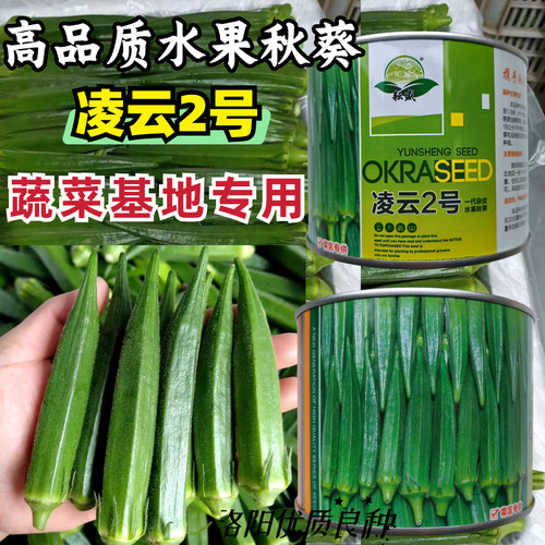凌云2号秋葵种子高端水果黄秋葵春夏秋菜农蔬菜杂交黄秋葵种籽孑