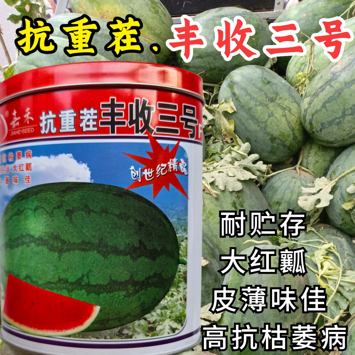 抗重茬丰收三号西瓜种子大红瓤薄皮耐裂特大龙卷风懒汉西瓜种子籽