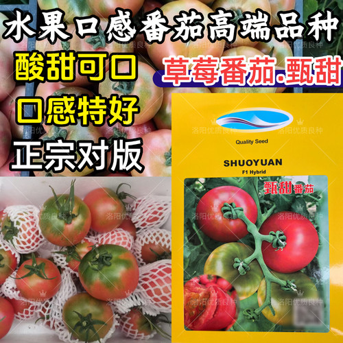 甄甜草莓番茄种子硕源口感型铁皮柿子水果番茄西红柿蔬菜种子籽孑