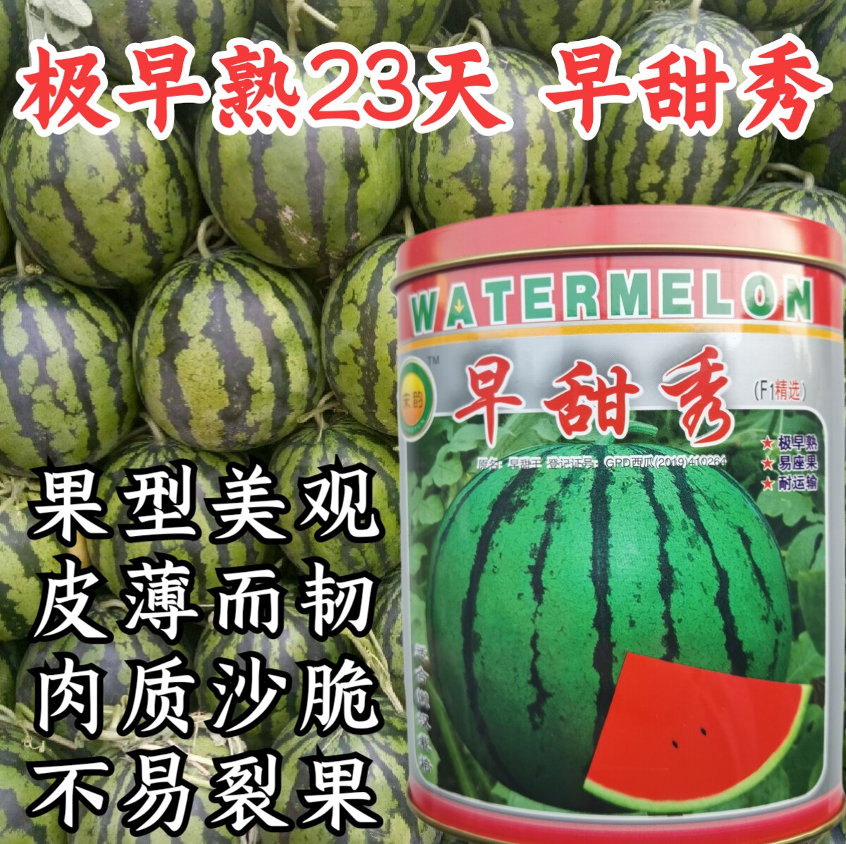 极早熟超甜西瓜种子麒麟西瓜宋韵