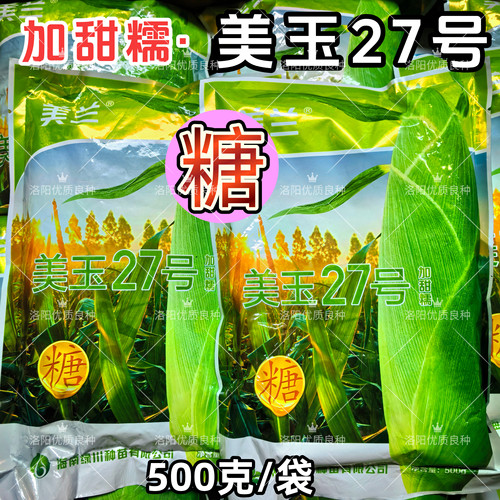 美玉27号加甜糯玉米种子加糖美兰美玉27号大棒甜加糯春秋玉米种子
