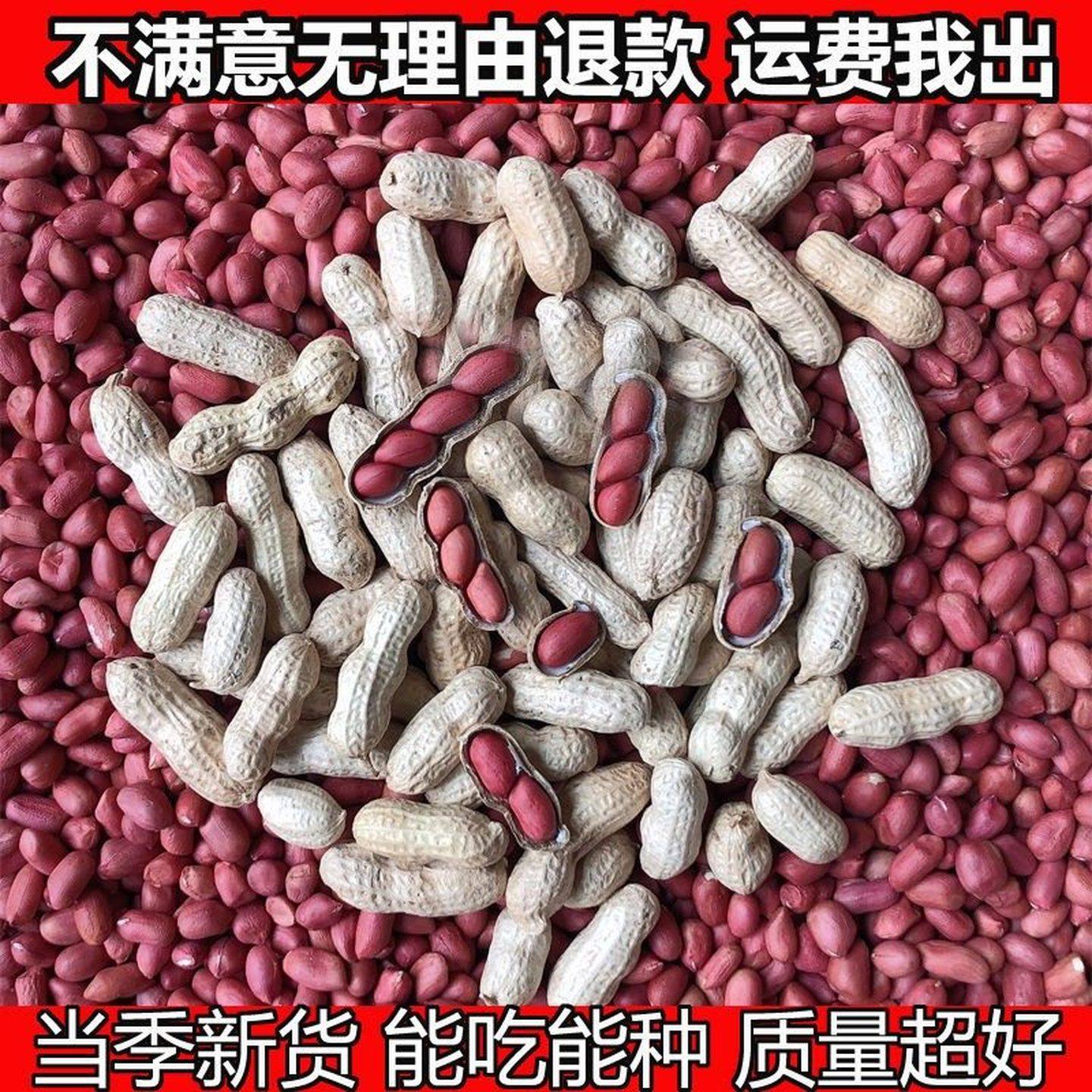 2025年新鲜东北四粒红带壳生花生红皮花生米农家现挖晒干炒熟花生,零食/坚果/特产,花生,淘宝优惠券,粉丝福利购,淘宝优惠卷