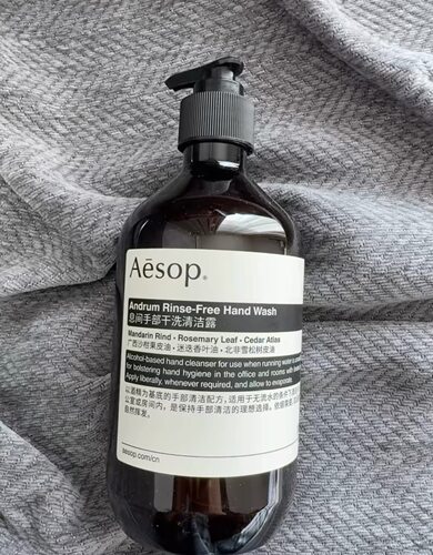 Aesop伊索 息间手部干洗清洁露免洗洗手液500ml，日期2708员工礼