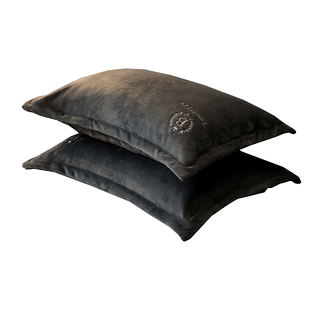 牛奶绒枕套一对装冬季枕头套男生灰色加厚加绒48x74cm珊瑚绒家用