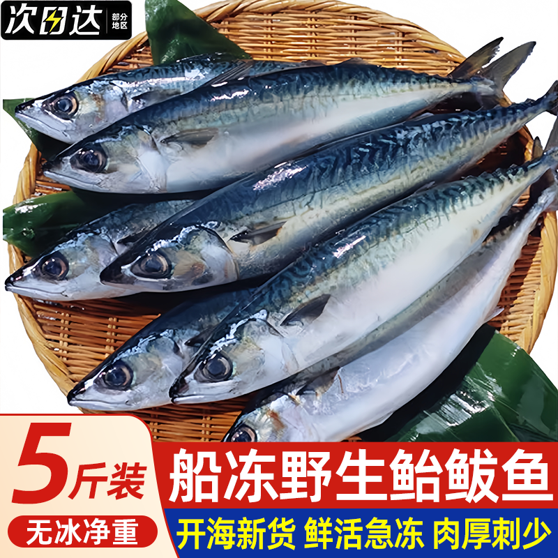 新鲜鲐鲅鱼深海海鱼特大青占鱼整条青花鱼青鱼非鲅鱼鲭鱼海鲜水产